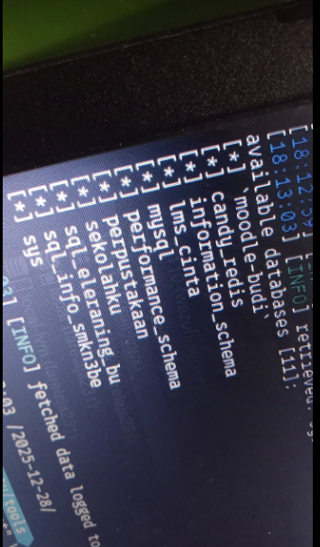 Network Security Audit